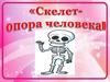 Скелет - опора человека