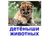 Детеныши животных (для дошкольников)