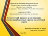 Технический процесс и организация перевозок негабаритных грузов на железной дороге