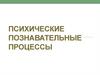 Психические познавательные процессы