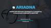 Ariadna. Помогаем врачам соблюдать стандарты, а клиникам повышать выручку