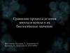 Сравнение процесса деления митоза и мейоза и их биологическое значение