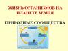 Жизнь организмов на планете Земля. Природные сообщества