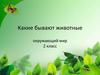 Какие бывают животные окружающий мир. 2 класс