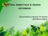 Роль животных в жизни человека
