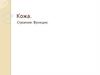 Кожа. Строение. Функции