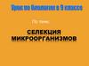 Селекция микроорганизмов