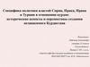 Политика властей Сирии, Ирака, Ирана и Турции в отношении курдов. Исторические аспекты создания независимого Курдистана