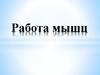 Работа мышц