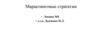 Маркетинговые стратегии. Лекция №8