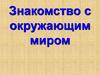 Знакомство с окружающим миром. Рассмотри картинку