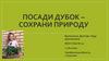 Посади дубок - сохрани природу