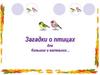 Загадки о птицах для больших и маленьких…