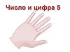 Число и цифра 5