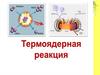 Термоядерные реакции