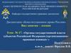 Органы государственной власти субъектов Российской Федерации. Тема №17