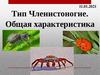 Тип Членистоногие. Общая характеристика