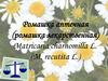 Ромашка аптечная (ромашка лекарственная) Matricaria charnomilla L. (M. recutita L.)
