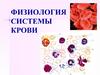 Физиология системы крови. Функции, состав, количество и свойства крови