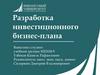Разработка инвестиционного бизнес-плана