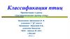 Классификация птиц