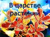 В царстве растений
