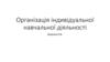 Організація індивідуальної навчальної діяльності