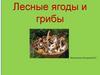 Лесные ягоды и грибы