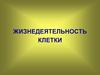 Жизнедеятельность клетки