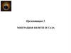 Миграция нефти и газа