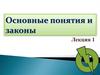 Основные понятия и законы