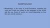 Morphology