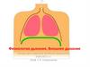Физиология дыхания. Внешнее дыхание