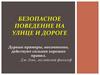 Безопасное поведение на улице и дороге