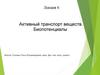 Активный транспорт веществ. Биопотенциалы