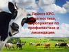 Лейкоз КРС. Диагностика, мероприятия по профилактике и ликвидации