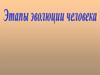 Этапы эволюции человека