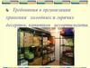 Требования к организации хранения