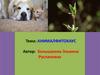 Анималфитохаус. Создание условий для реабилитации, социализации и самоопределения в выборе профессии детей с ОВЗ и инвалидов