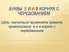 Буквы Е и И в корнях с чередованием