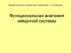 Функциональная анатомия иммунной системы. Лекция 24
