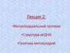 Митохондриальный протеом. Структура мтДНК. Лекция 2