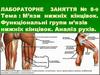 М’язи нижніх кінцівок. Функціональні групи м’язів нижніх кінцівок. Аналіз рухів