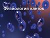Физиология клеток