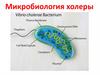 Микробиология холеры