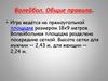 Волейбол. Общие правила