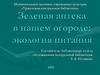 Зеленая аптека в нашем огороде: экология питания