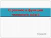 Строение и функции головного мозга