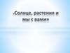 Солнце и растения
