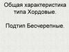Общая характеристика типа Хордовые. Подтип Бесчерепные